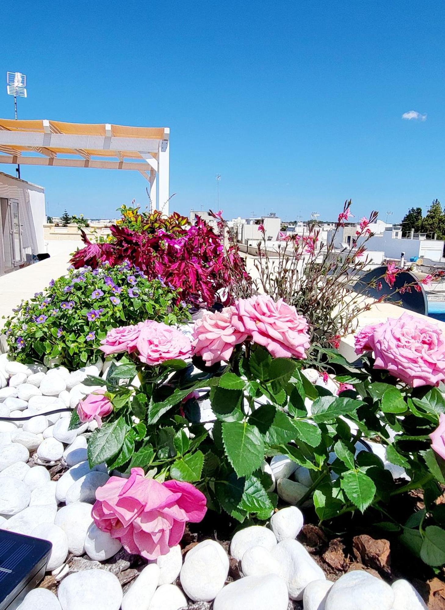 פורטו צ'זראו Aquamarina Rooms מראה חיצוני תמונה