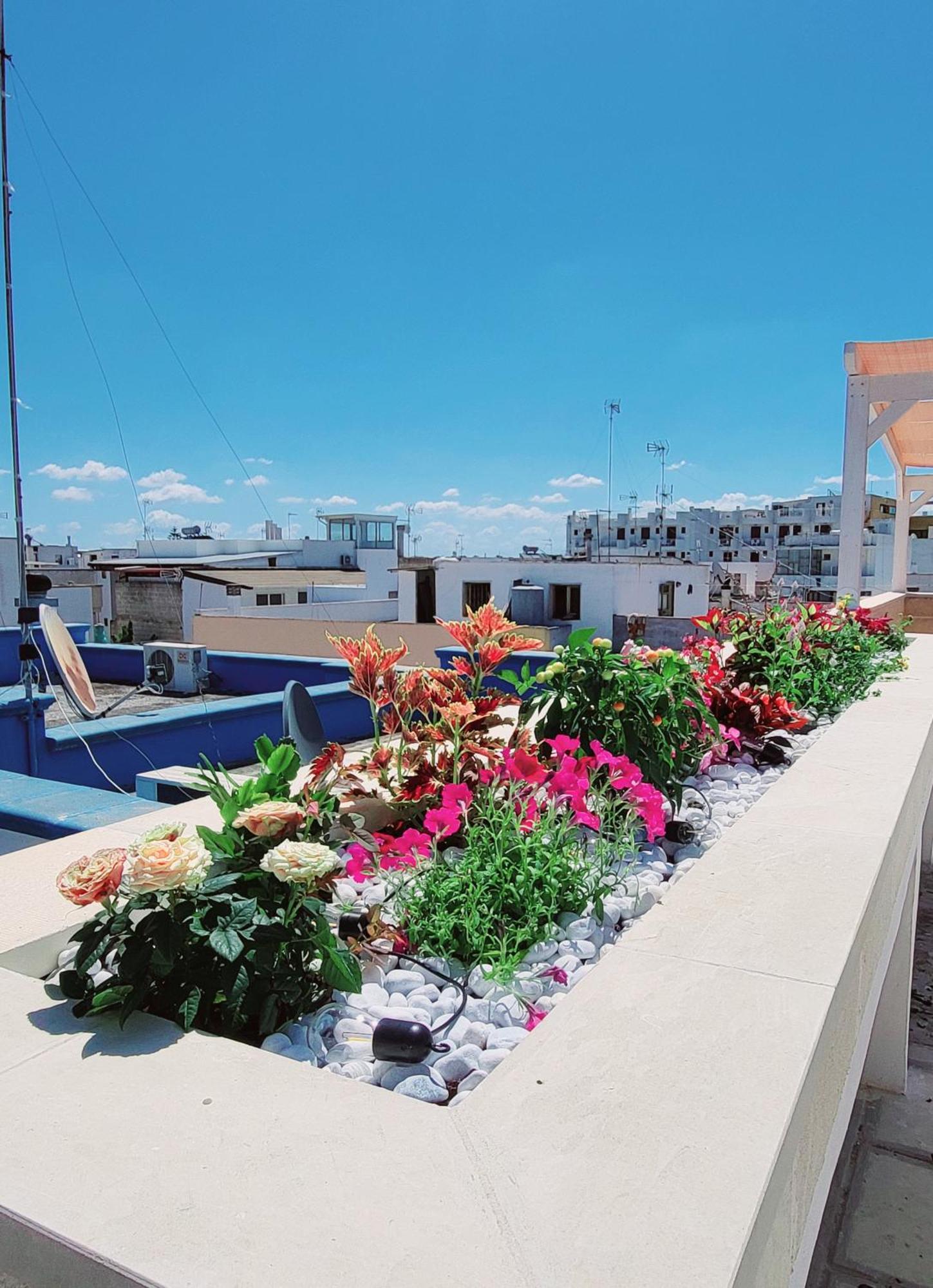 פורטו צ'זראו Aquamarina Rooms מראה חיצוני תמונה
